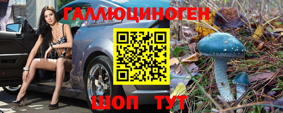Псилоцибиновые грибы MAGIC MUSHROOMS Анапа