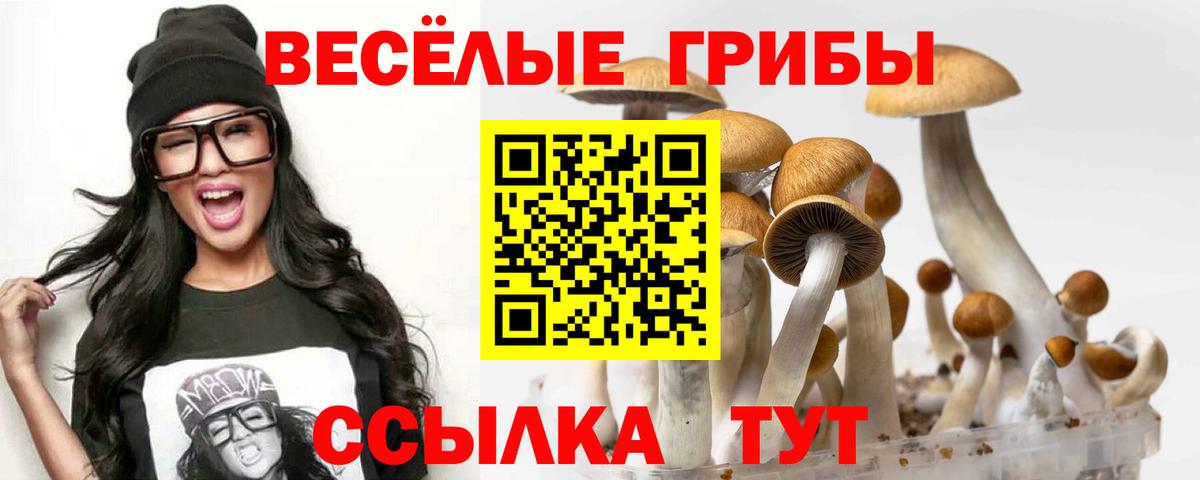 Анапа  Псилоцибиновые грибы мицелий  Вход с VPN  Галлюциногенные грибы MAGIC MUSHROOMS 